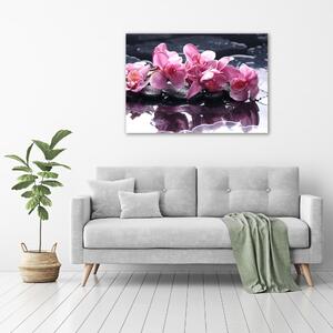 Vászonkép nyomtatás Rózsaszín orchidea