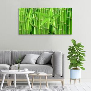Vászonkép nyomtatás Bambuszok