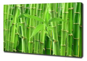 Vászonkép nyomtatás Bambuszok