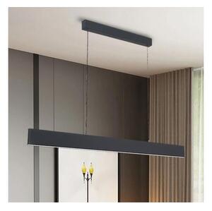 Brilagi Brilagi - LED Dimmelhető csillár zsinóron SLIMLINE LED/40W/230V 3000-6000K antracit + távirányító BG1481