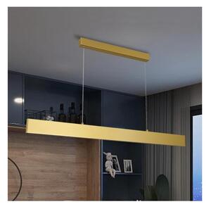 Brilagi Brilagi - LED Dimmelhető csillár zsinóron SLIMLINE LED/40W/230V 3000-6000K arany + távirányító BG1482