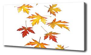 Vászonkép nyomtatás Őszi levelek