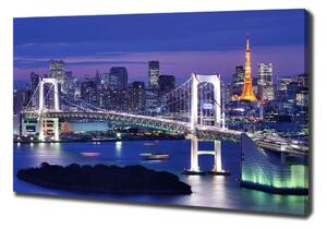 Vászonfotó Bridge tokióban