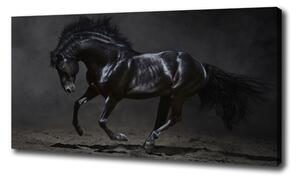 Vászonkép Fekete ló