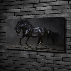 Vászonkép Fekete ló