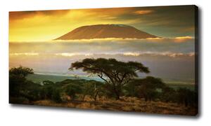 Vászon nyomtatás Kilimanjaro kenya