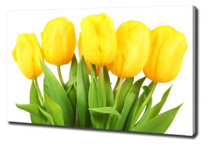 Egyedi vászonkép Sárga tulipánok