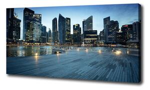 Vászonfotó Singapore éjjel
