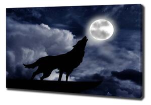 Vászonkép Üvöltő farkas teljes