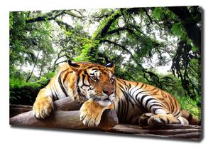 Vászonkép Tiger a rock