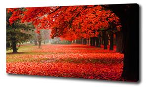 Egyedi vászonkép Fák ősszel