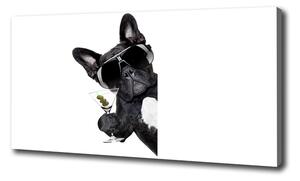Vászonkép Kutya martini