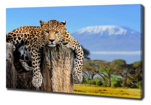 Vászonkép Leopard egy fatönkön