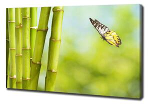 Egyedi vászonkép Bamboo és a pillangó