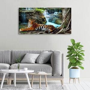 Vászonkép Tigris vízesés