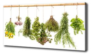 Feszített vászonkép Herbs egy húr