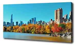 Vászonfotó New york ősszel