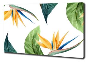 Fali vászonkép Trópusi virágok