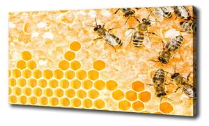 Vászonkép Dolgozó méhek