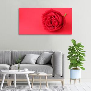 Vászonkép nyomtatás Vörös rózsa