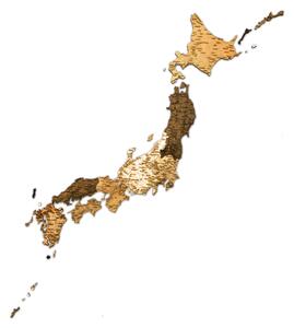 Natura Products - Japán 3D Fa Puzzle Térkép - Elegáns Fali Dekoráció