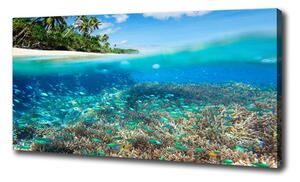 Vászon nyomtatás Korallzátony