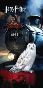 Harry Potter Hedwig fürdőlepedő, strand törölköző 70x140cm