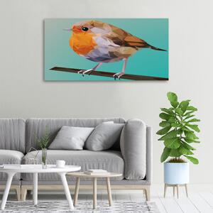 Vászonkép Robin madár