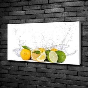 Feszített vászonkép Citrusfélék és a víz