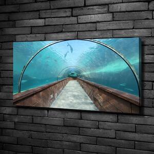 Vászonfotó Az alagút akvárium