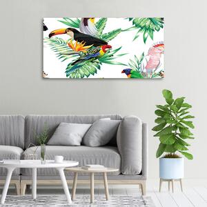 Vászonkép Trópusi madarak