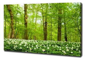 Vászon nyomtatás Virágok az erdőben