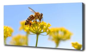 Egyedi vászonkép Méh a virágon
