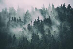 Öntapadó fotótapéta hegyek a ködben