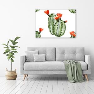 Fali vászonkép Kaktuszok