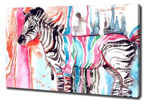 Vászonkép nyomtatás Színes zebra