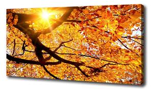 Egyedi vászonkép Korona őszi fák