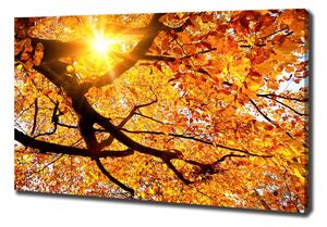 Egyedi vászonkép Korona őszi fák