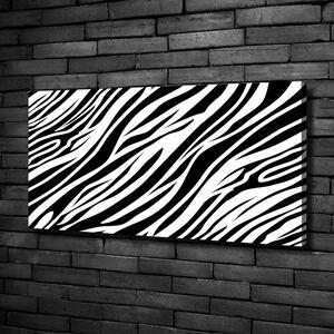 Vászonkép nyomtatás Zebra háttér