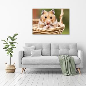 Vászonkép Hamster a kosárban