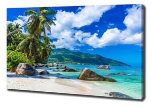 Vászon nyomtatás Seychelles strand