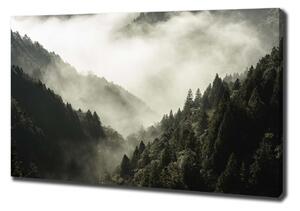 Vászon nyomtatás Köd az erdőben