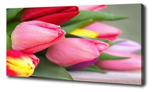 Egyedi vászonkép Színes tulipán