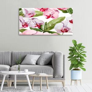 Fali vászonkép Rózsaszín orchideák