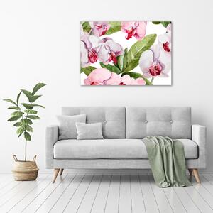 Fali vászonkép Rózsaszín orchideák