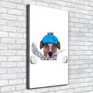 Vászonkép nyomtatás Beteg kutya