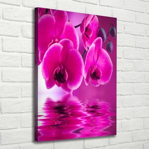Egyedi vászonkép Rózsaszín orchidea