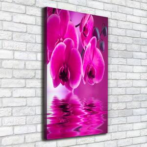 Egyedi vászonkép Rózsaszín orchidea