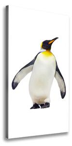 Vászonkép Pingvin