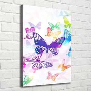 Vászonkép Színes pillangók